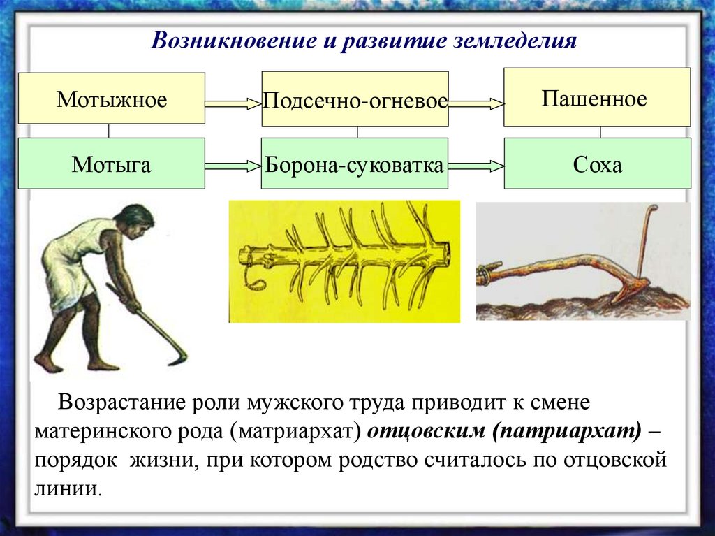 Возникновение и развитие земледелия