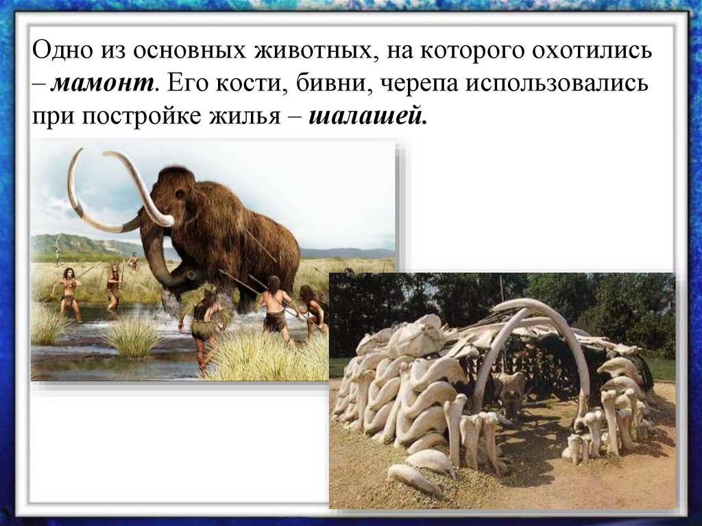 Одно из основных животных, на которого охотились – мамонт. Его кости, бивни, черепа использовались при постройке жилья –