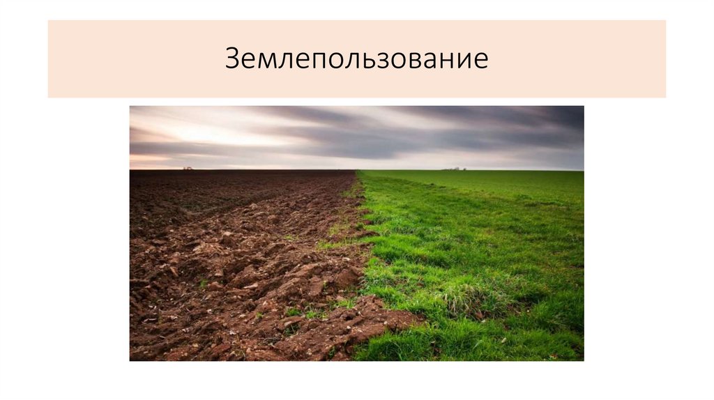 Землепользование