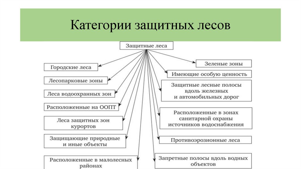 Категории защитных лесов