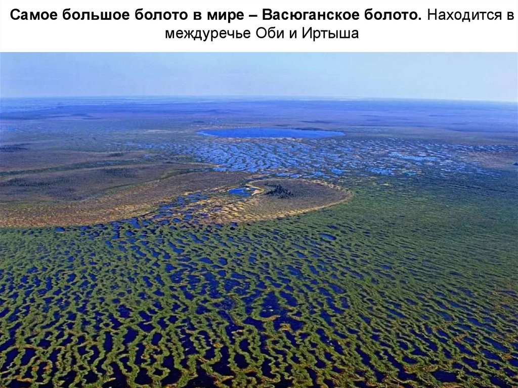 Самое большое болото в мире – Васюганское болото. Находится в междуречье Оби и Иртыша