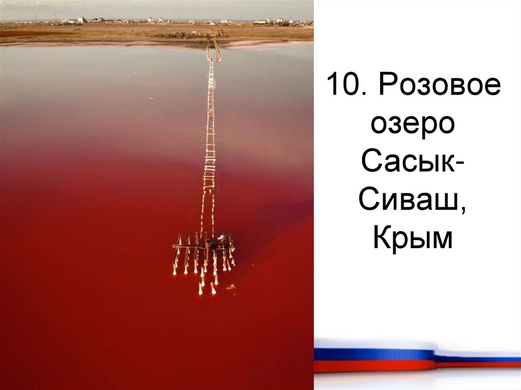 10. Розовое озеро Сасык-Сиваш, Крым