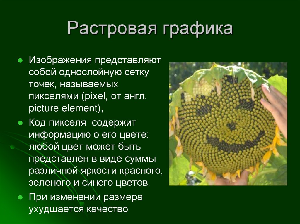 Примеры создания векторного изображения