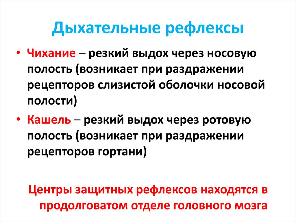 Дыхательные рефлексы