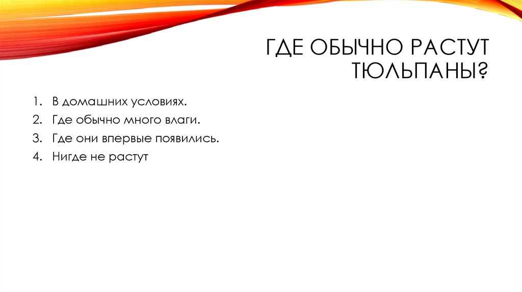 Где обычно растут тюльпаны?