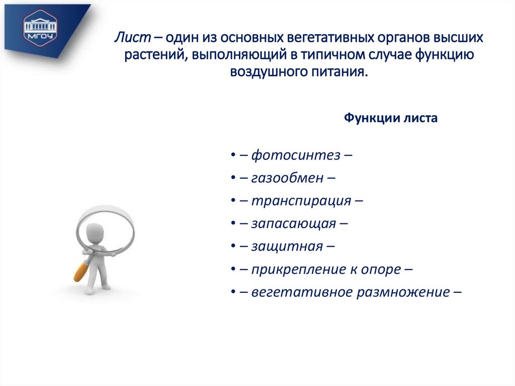Лист – один из основных вегетативных органов высших растений, выполняющий в типичном случае функцию воздушного питания.