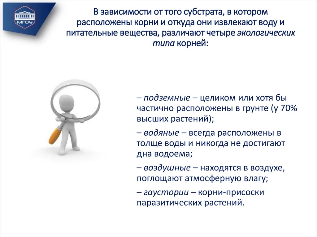 В зависимости от того субстрата, в котором расположены корни и откуда они извлекают воду и питательные вещества, различают