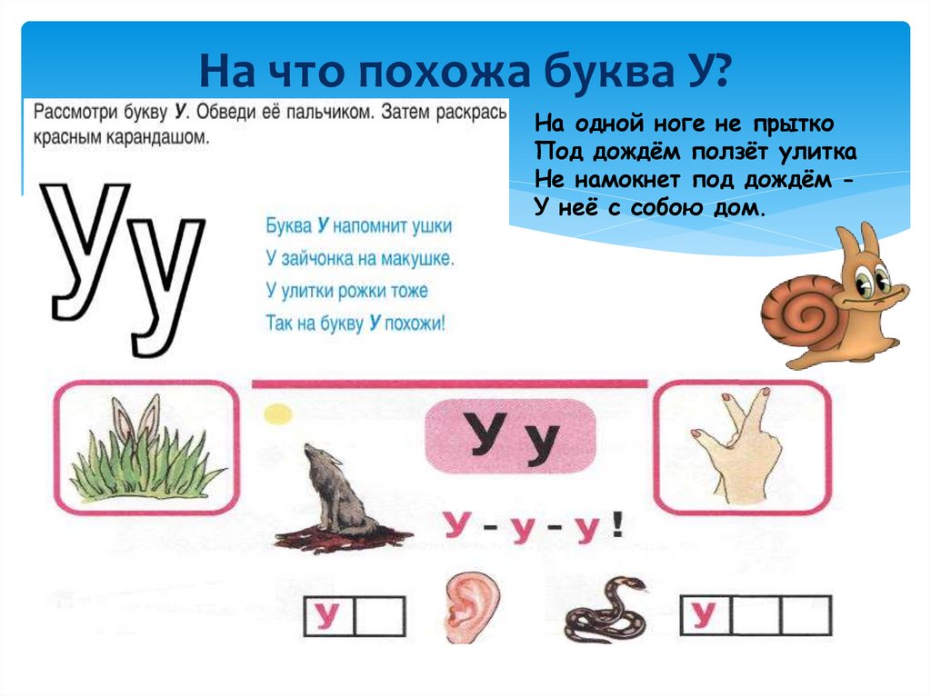 На что похожа буква У?