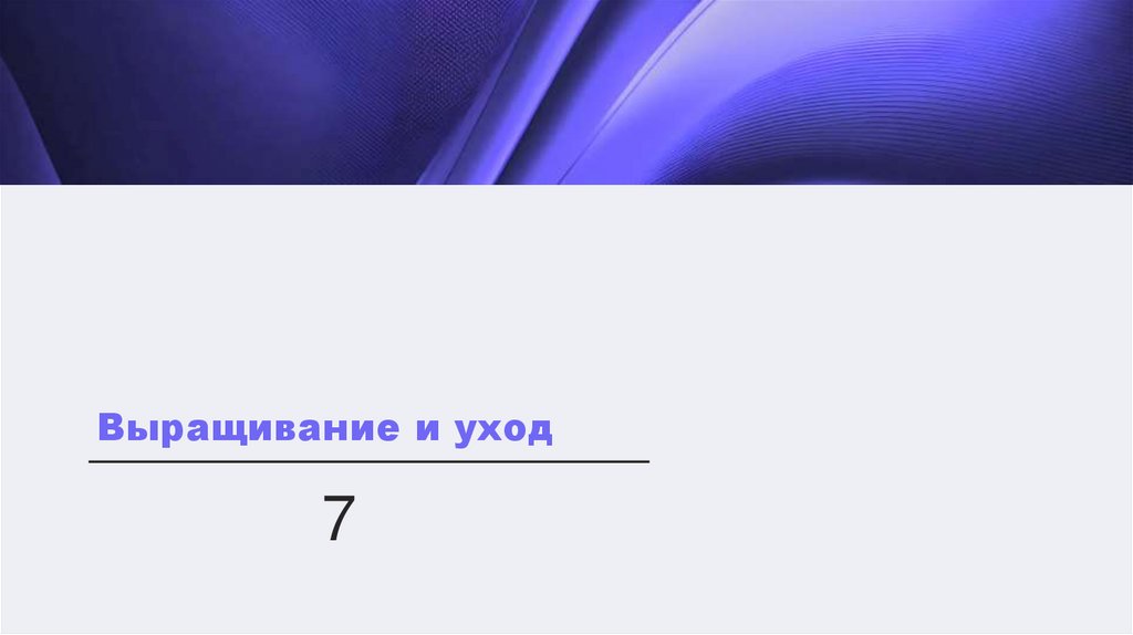 Наименование подпункта