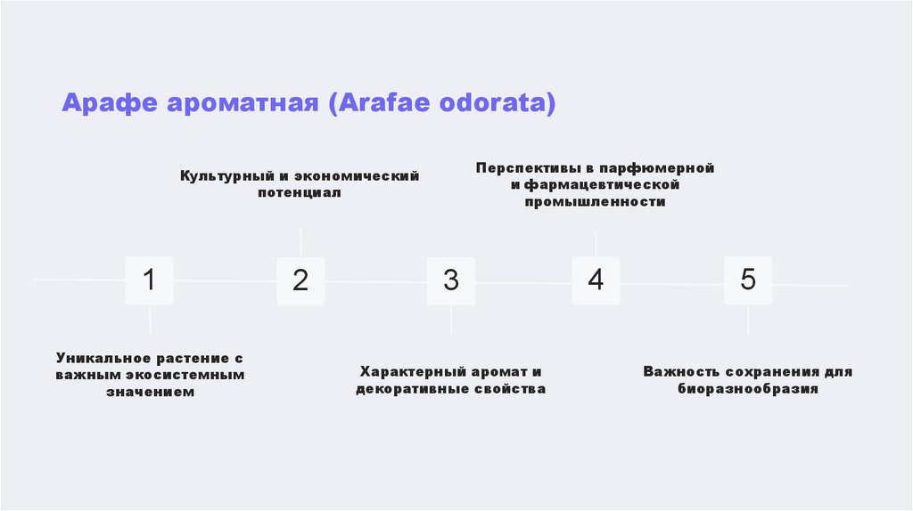 Наименование пункта