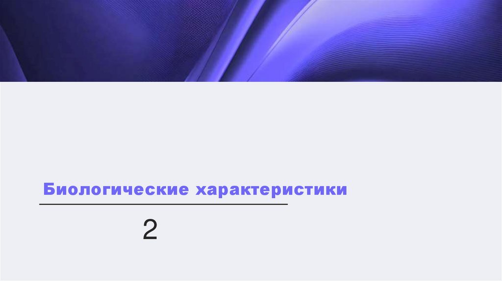 Наименование подпункта