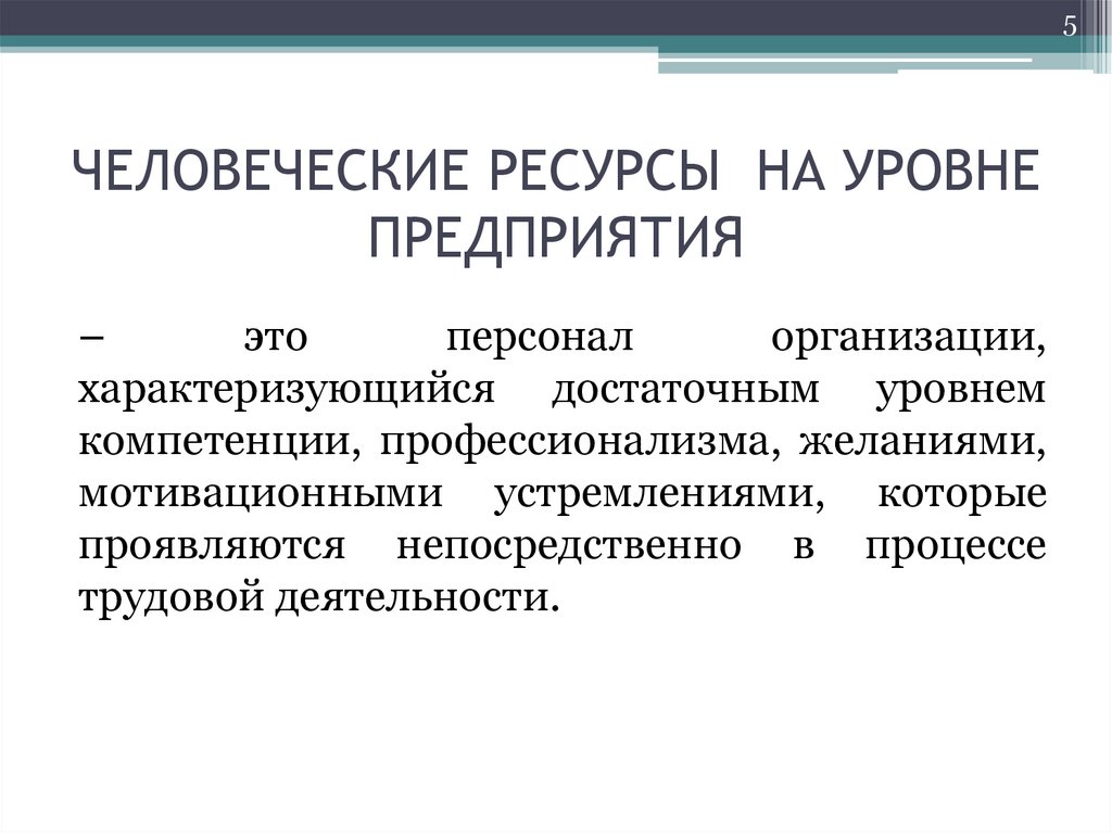 ЧЕЛОВЕЧЕСКИЕ РЕСУРСЫ НА УРОВНЕ ПРЕДПРИЯТИЯ
