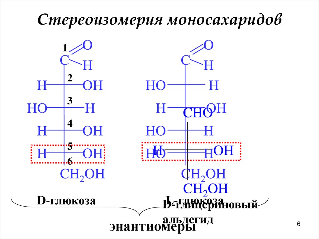 Стереоизомерия моносахаридов