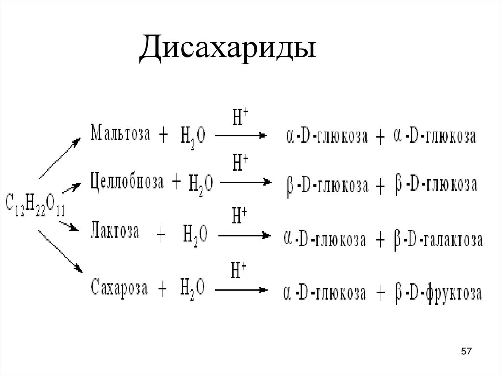 Дисахариды