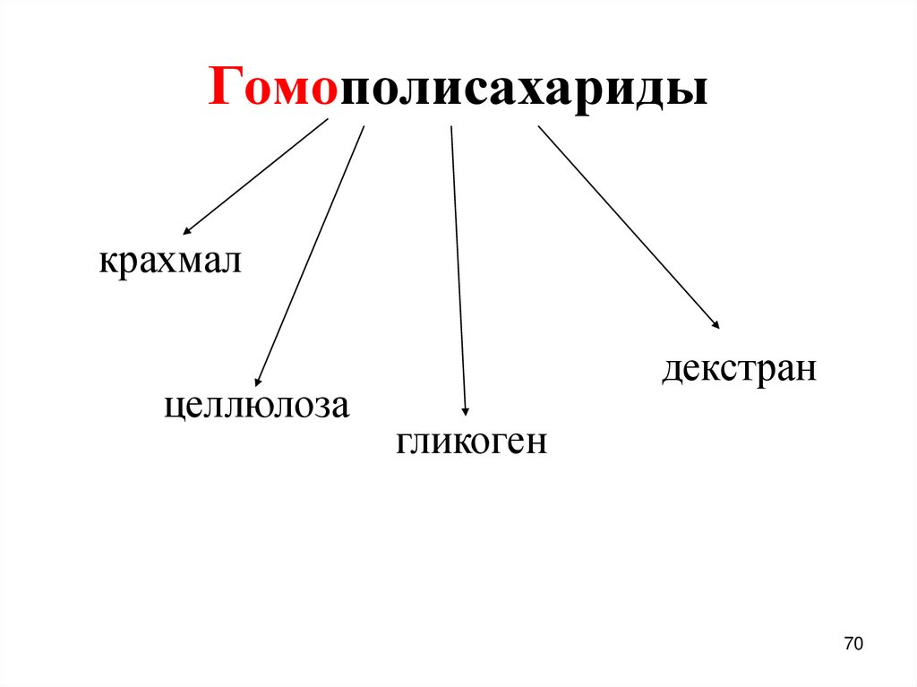 Гомополисахариды