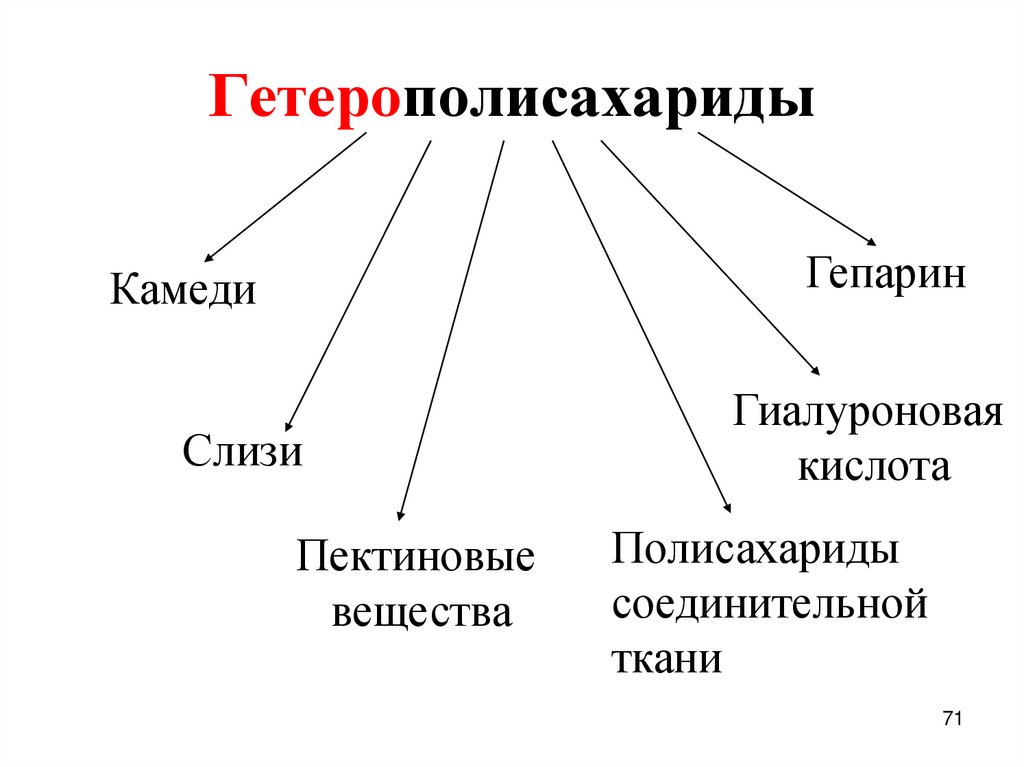 Гетерополисахариды