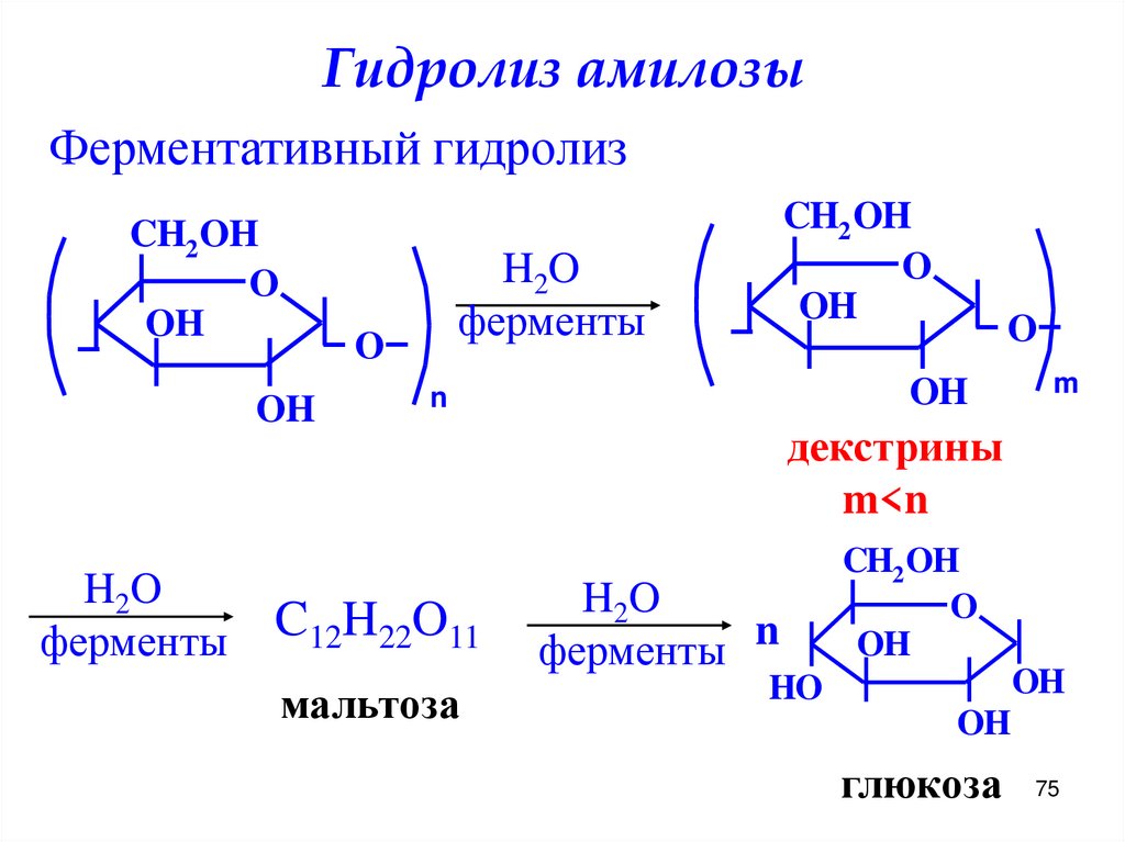 Гидролиз амилозы