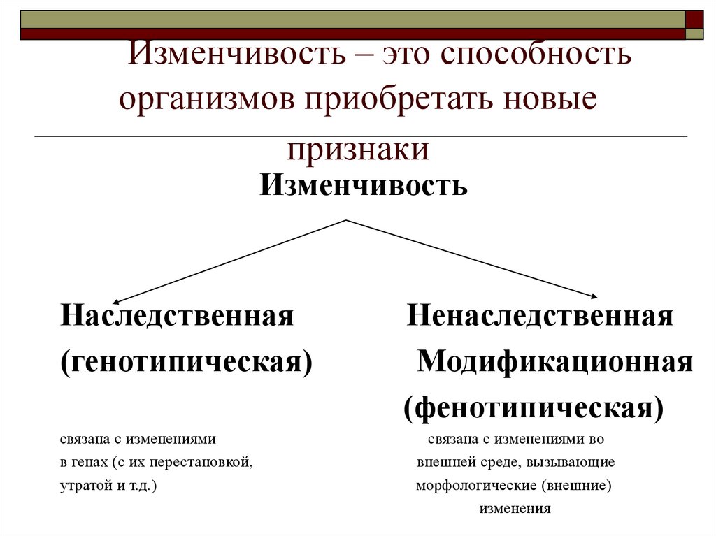 Изменчивость – это способность организмов приобретать новые признаки