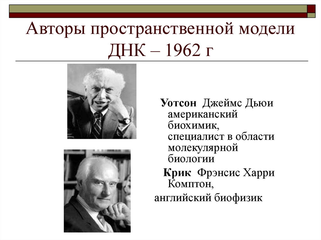 Авторы пространственной модели ДНК – 1962 г