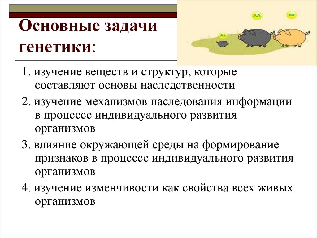 Основные задачи генетики:
