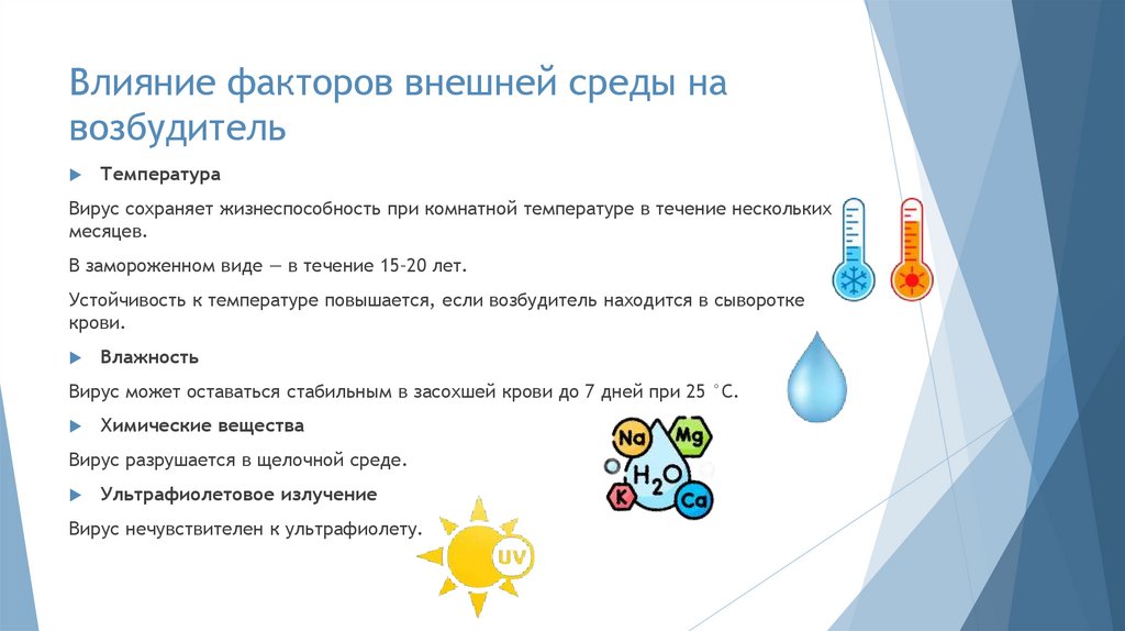 Влияние факторов внешней среды на возбудитель