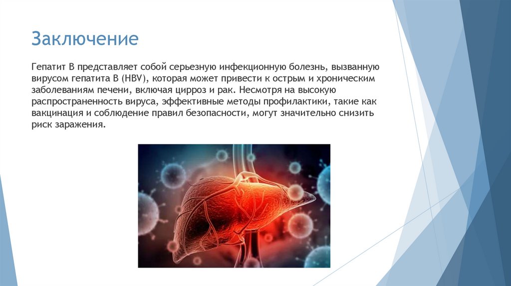 Заключение