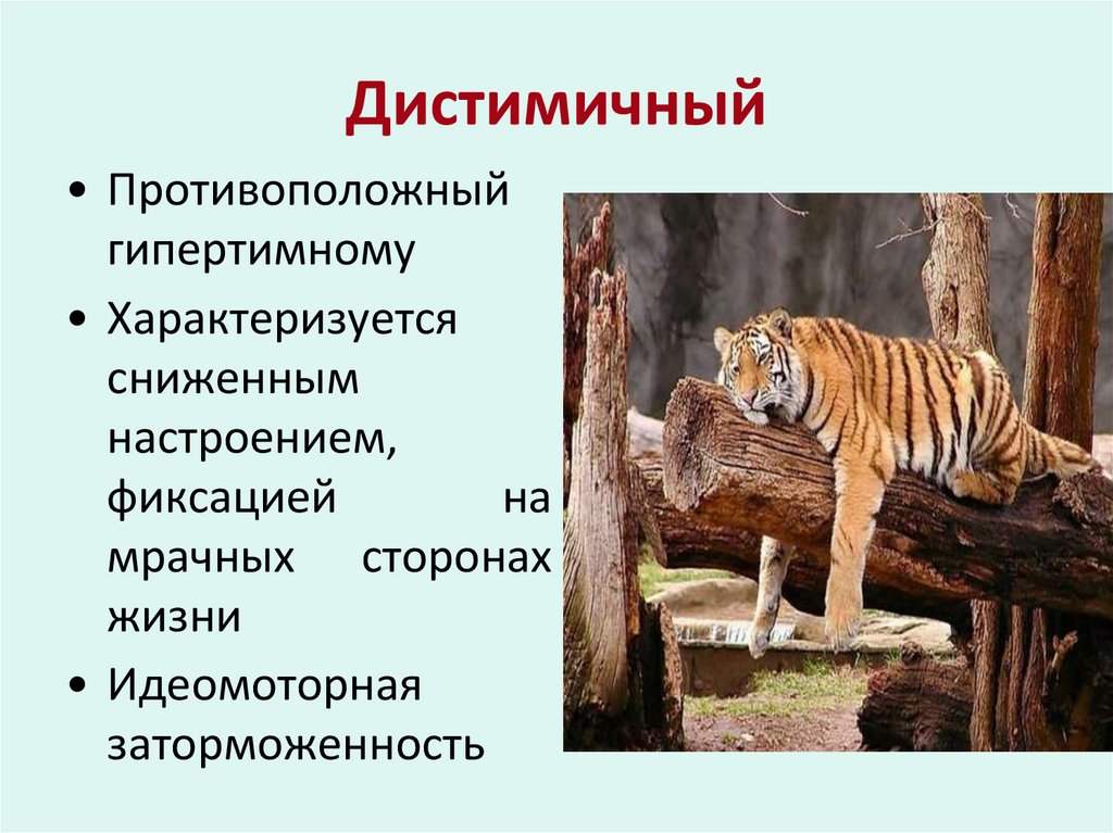 Дистимичный