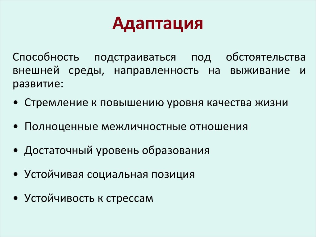 Адаптация