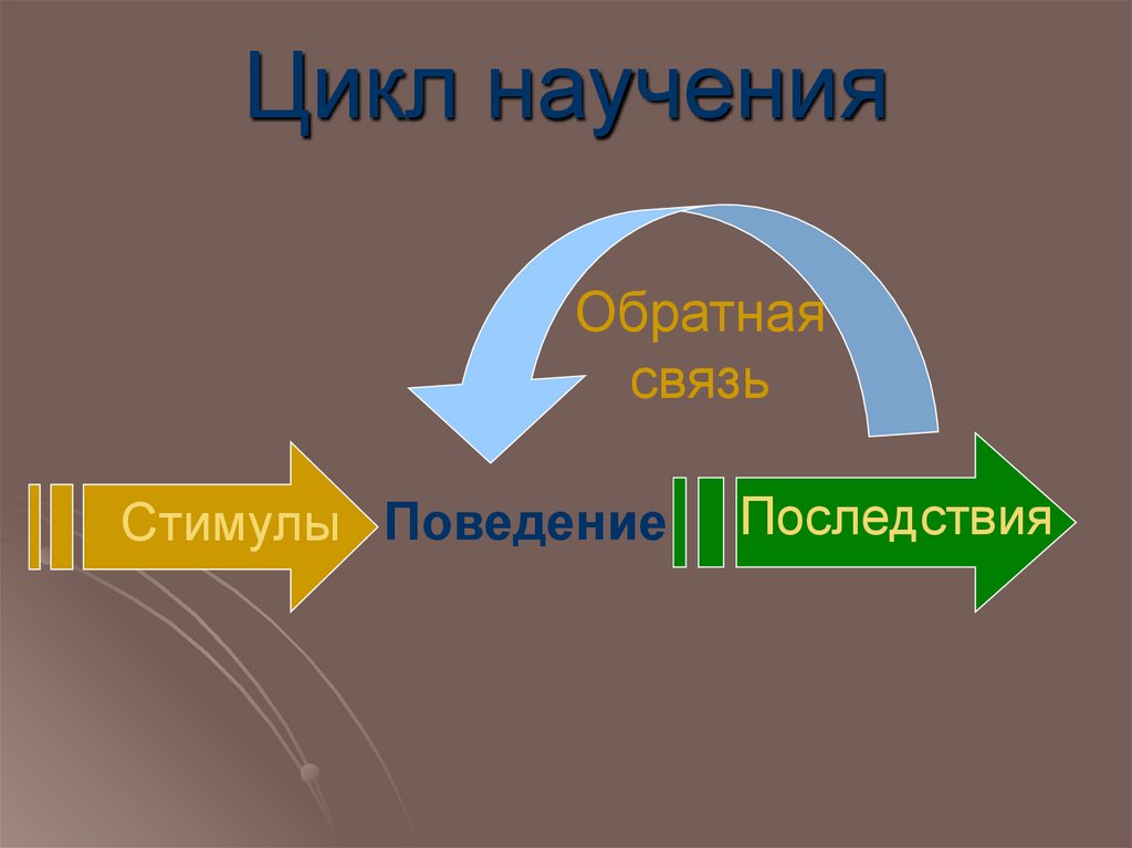 Цикл научения