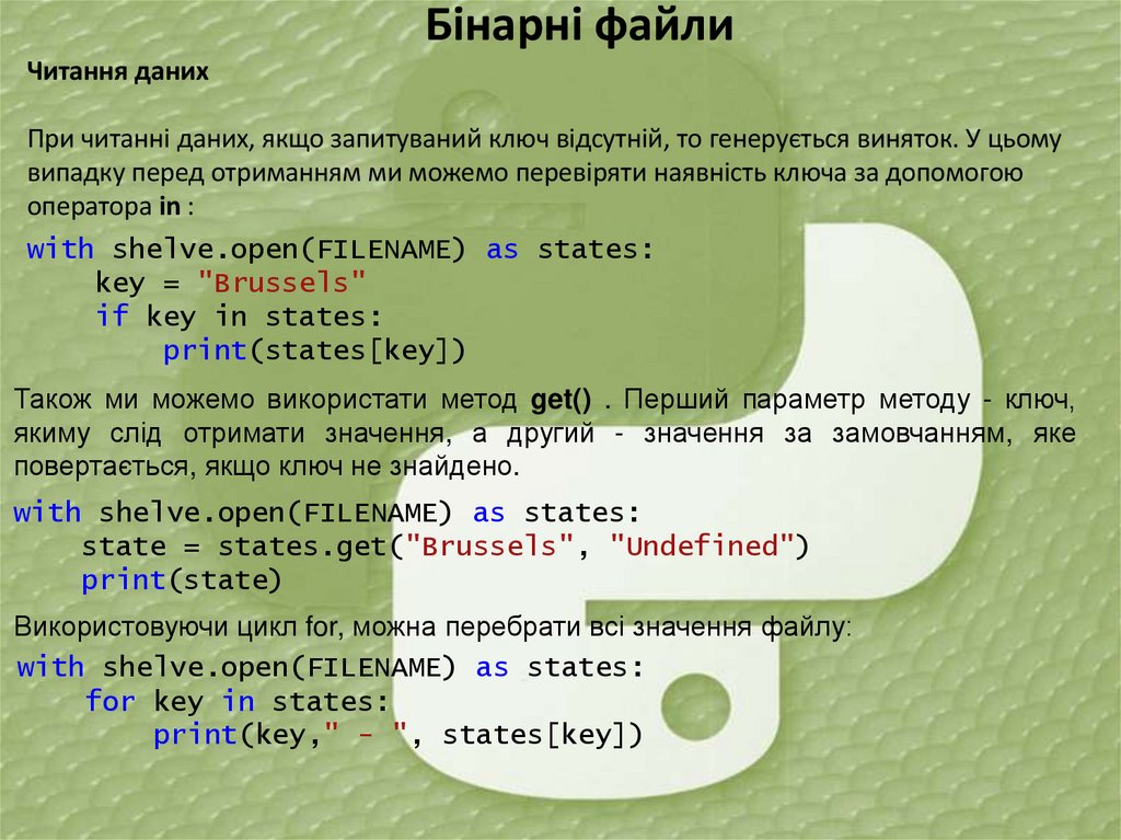 Бінарні файли