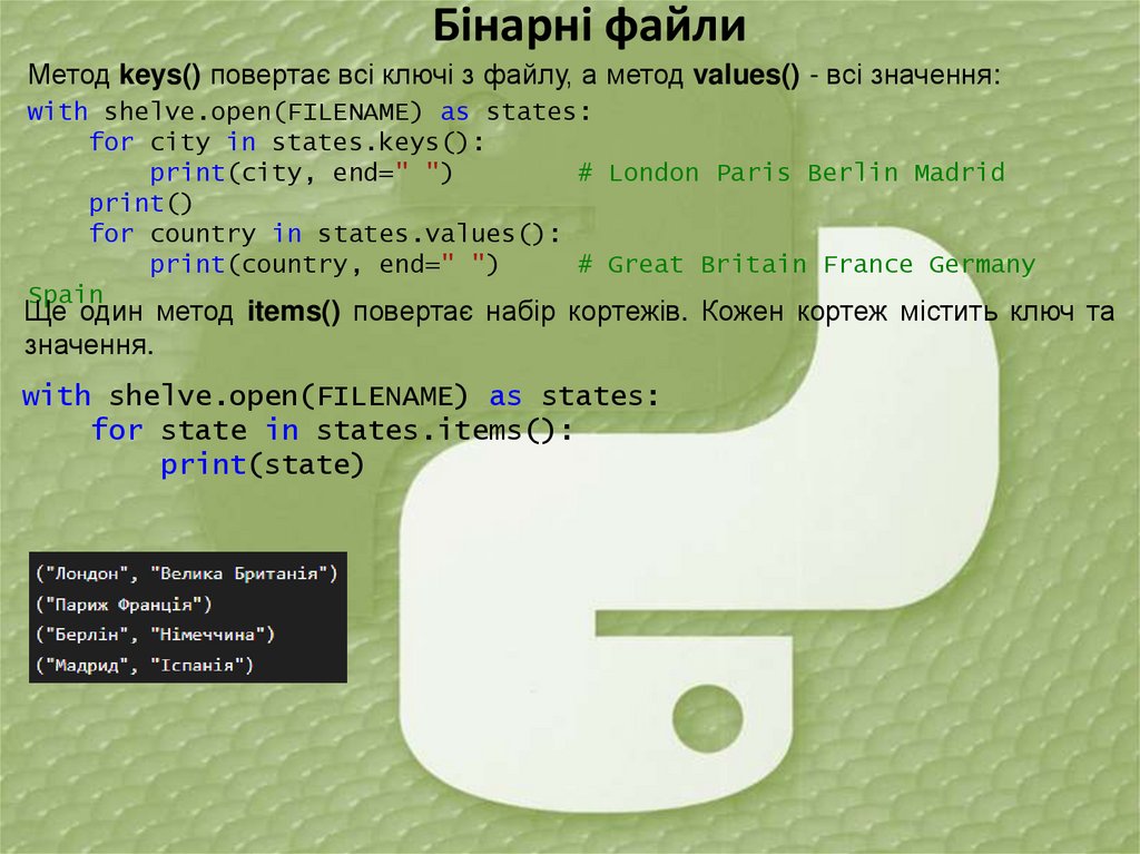 Бінарні файли