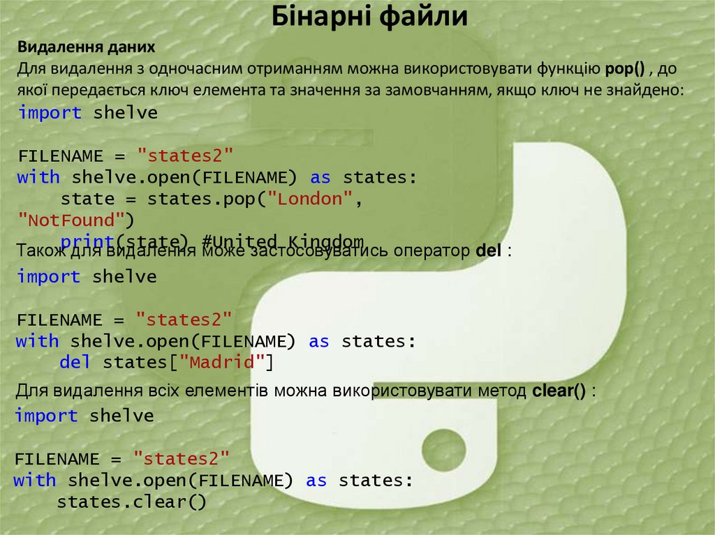 Бінарні файли