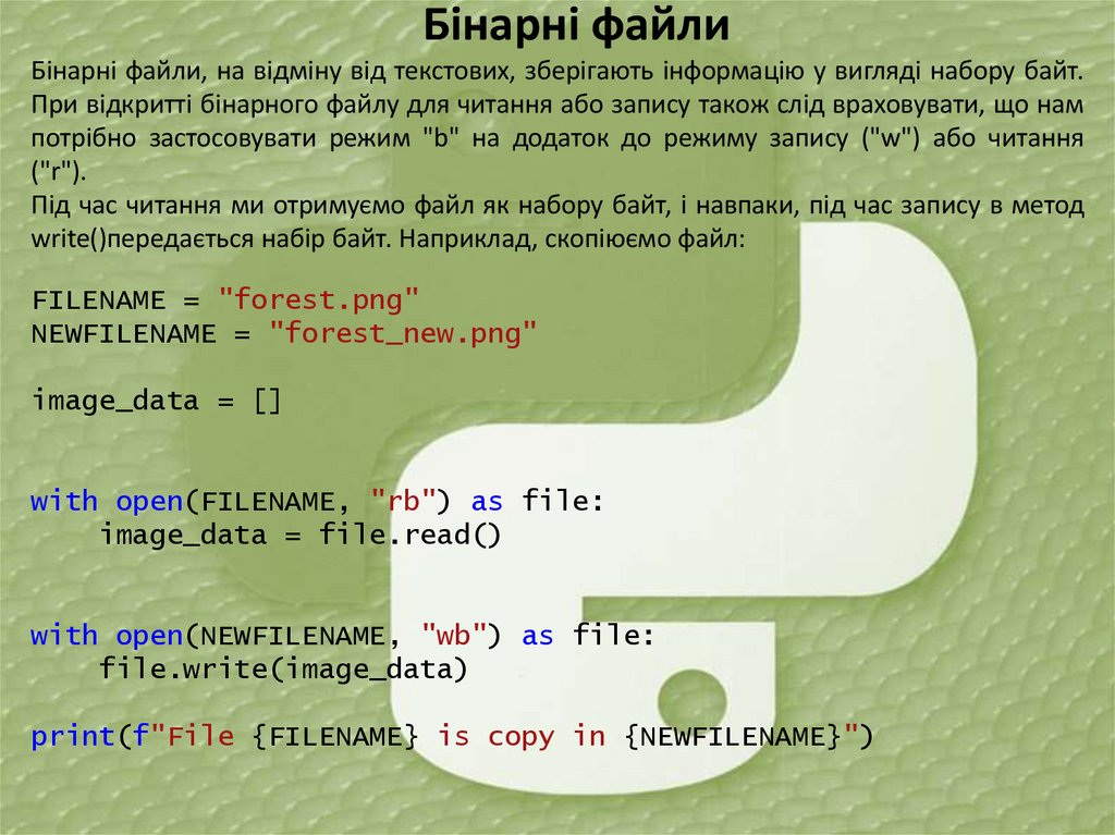 Бінарні файли