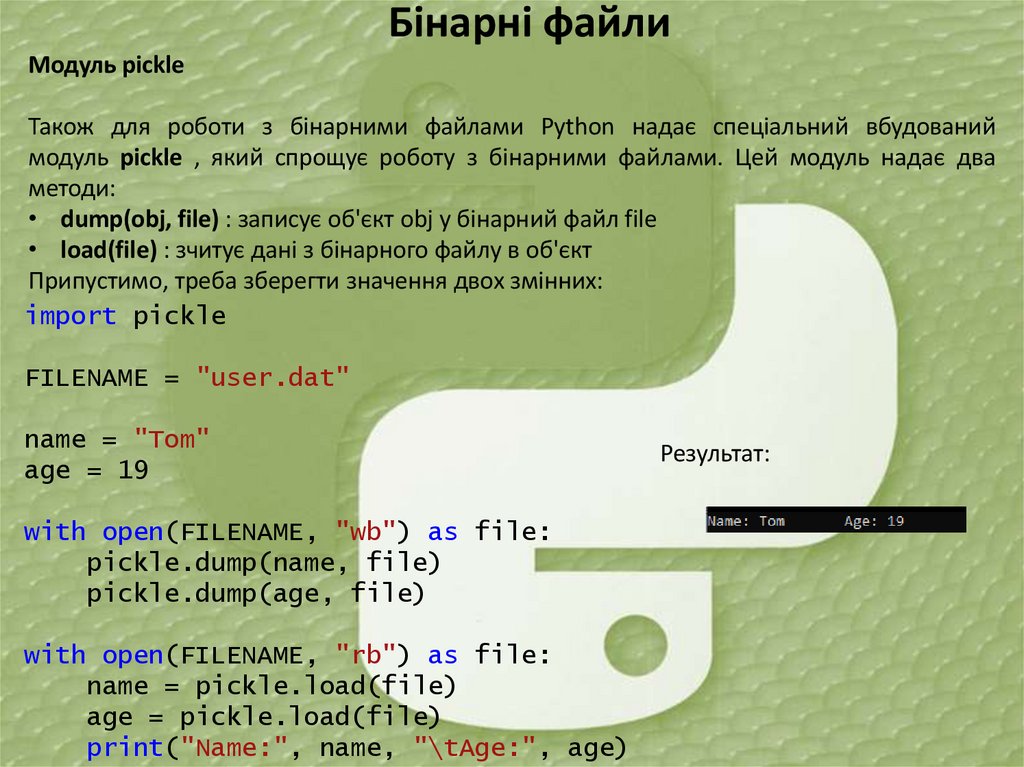 Бінарні файли