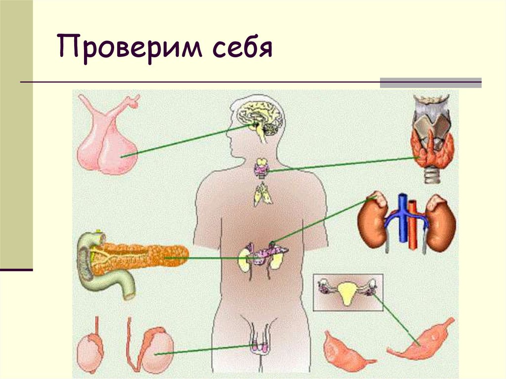 Проверим себя