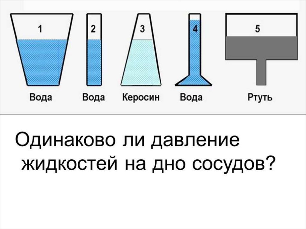 Гидростатический парадокс