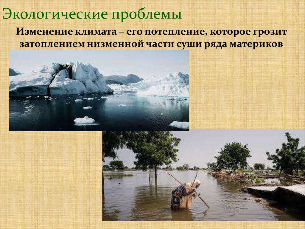 Экологические проблемы