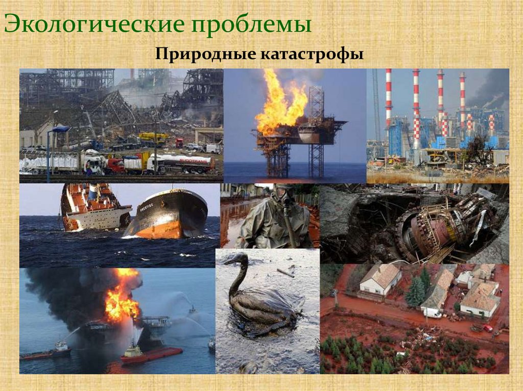 Экологические проблемы