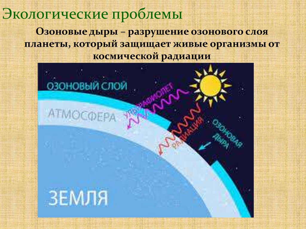 Экологические проблемы