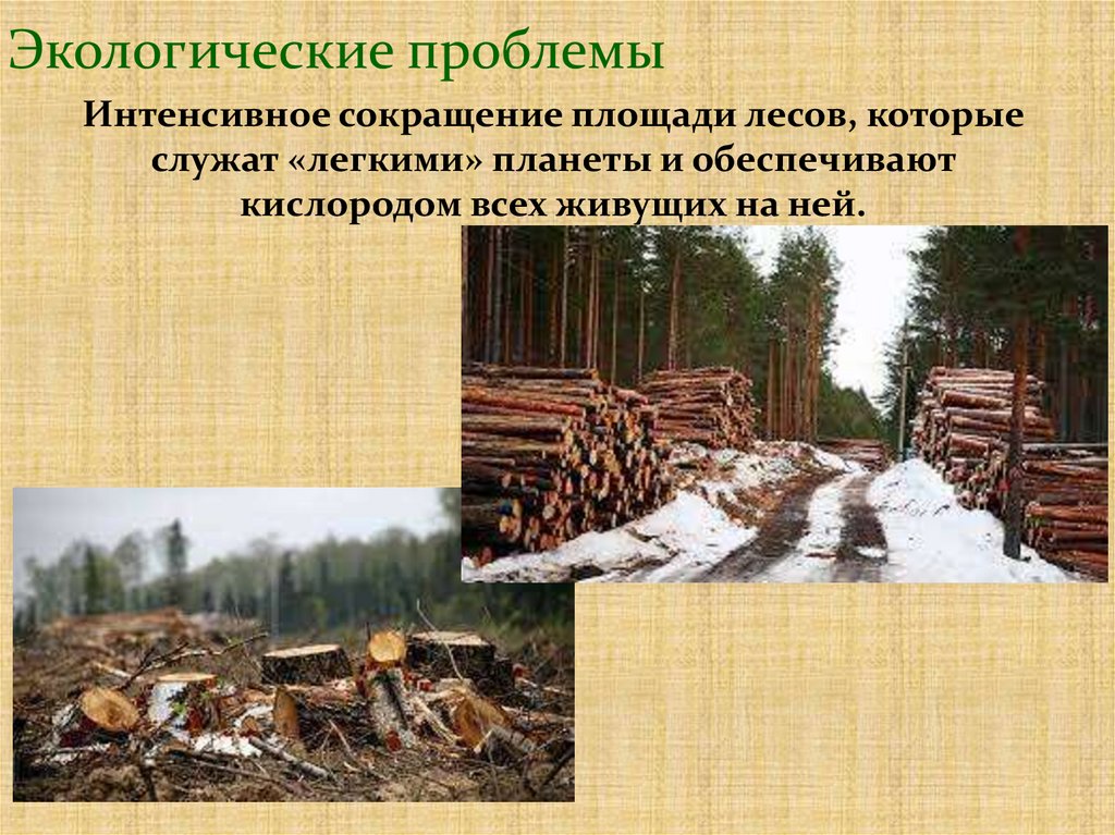 Экологические проблемы