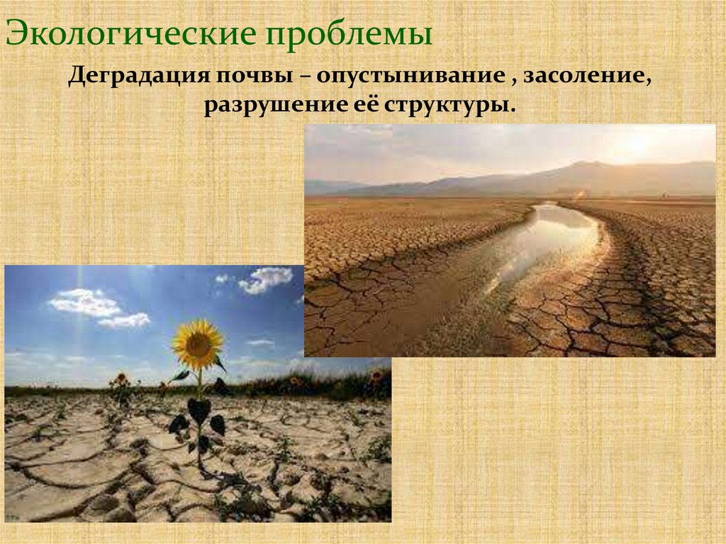 Экологические проблемы