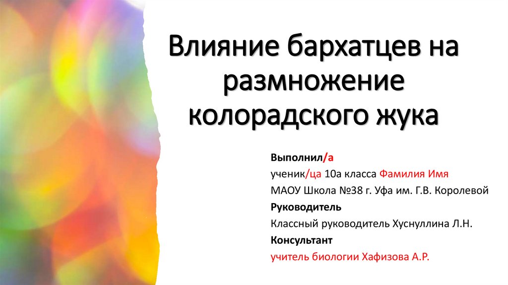 Влияние бархатцев на размножение колорадского жука