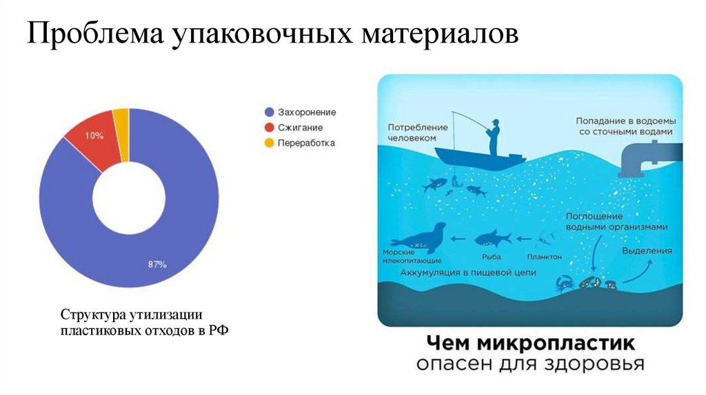 Структура утилизации пластиковых отходов в РФ