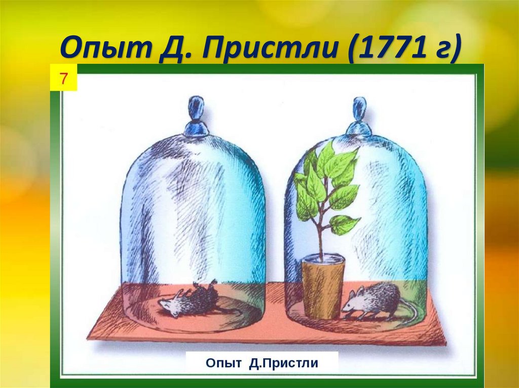 Опыт Д. Пристли (1771 г)