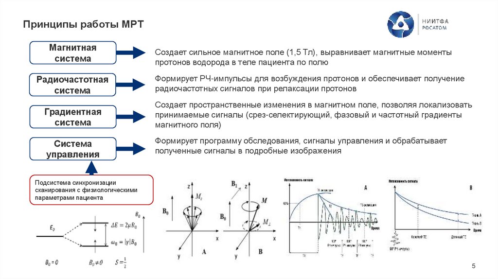 Принципы работы МРТ