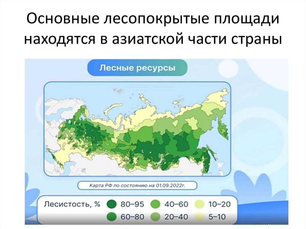 Основные лесопокрытые площади находятся в азиатской части страны