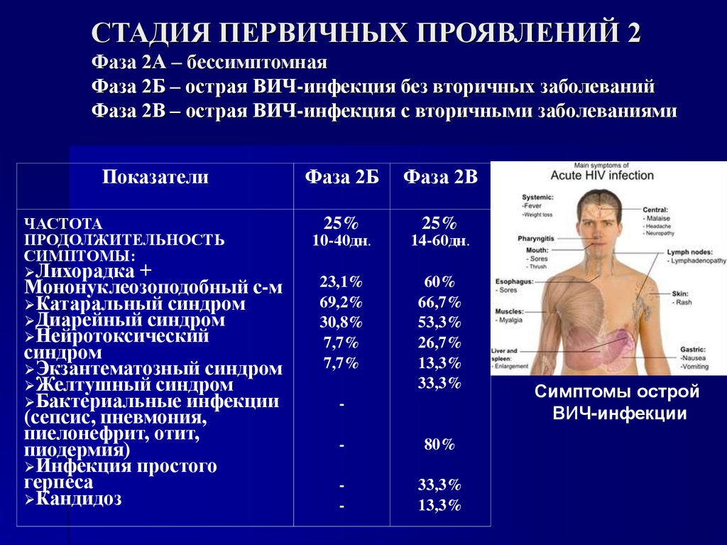 СТАДИЯ ПЕРВИЧНЫХ ПРОЯВЛЕНИЙ 2 Фаза 2А – бессимптомная Фаза 2Б – острая ВИЧ-инфекция без вторичных заболеваний Фаза 2В – острая