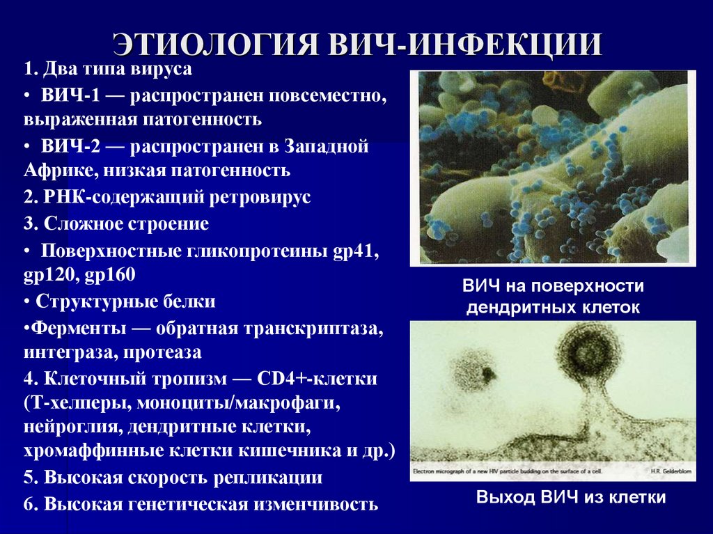 ЭТИОЛОГИЯ ВИЧ-ИНФЕКЦИИ