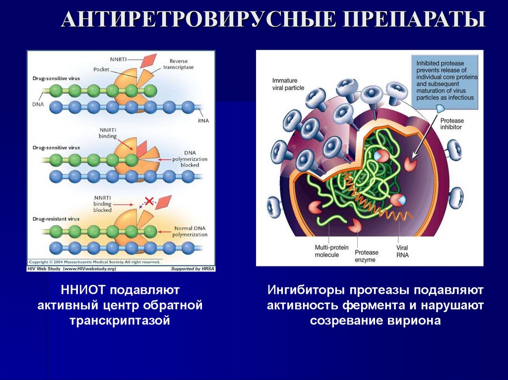 АНТИРЕТРОВИРУСНЫЕ ПРЕПАРАТЫ