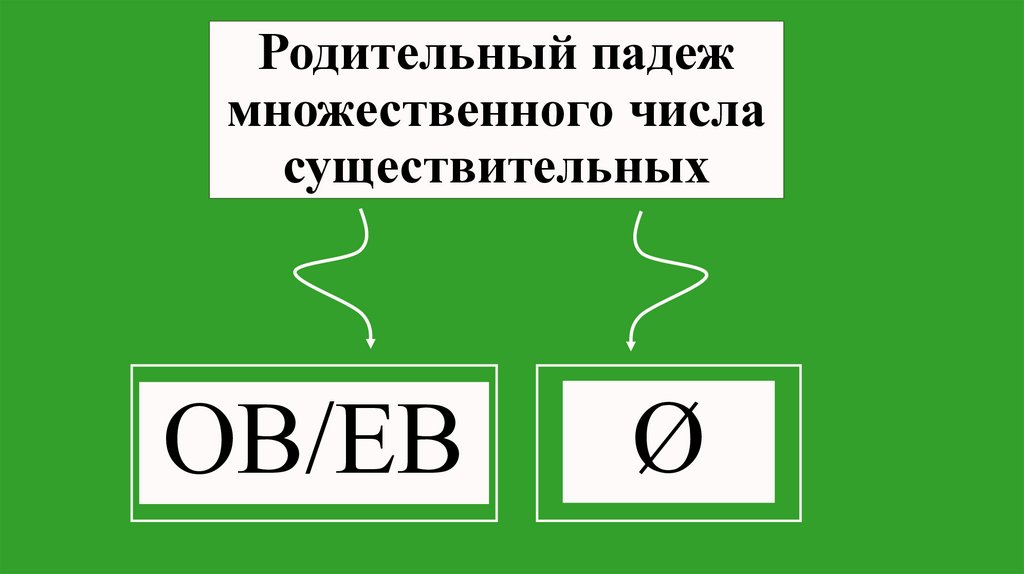 Родительный падеж множественного числа существительных